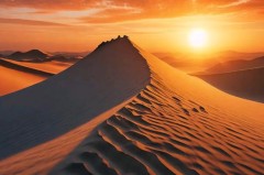 伊萨克替补之谜：利物浦新星适应与球迷期待