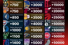 篮球球星抱怨风格引团队氛围讨论：东契奇与格林的球风对比